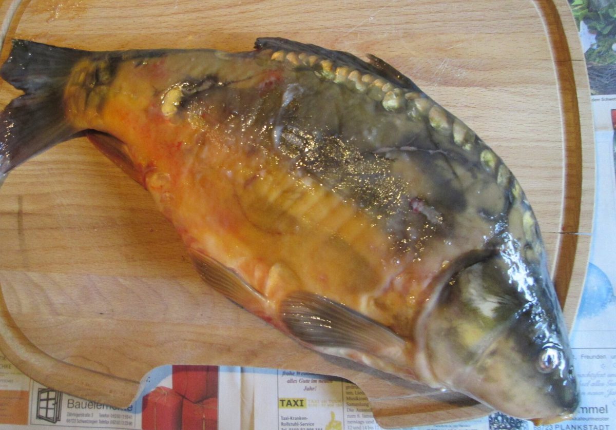 Krok 1