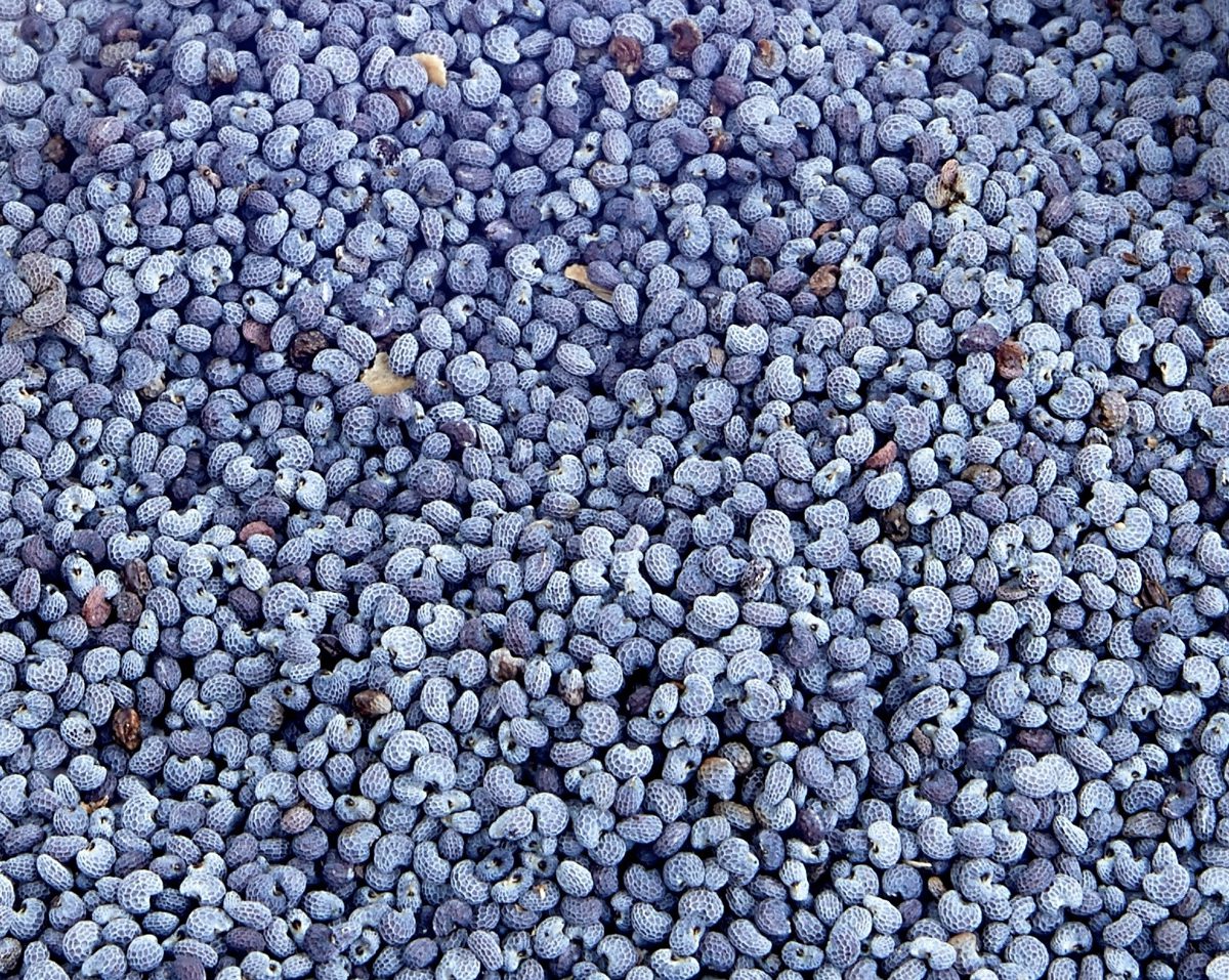 Krok 4