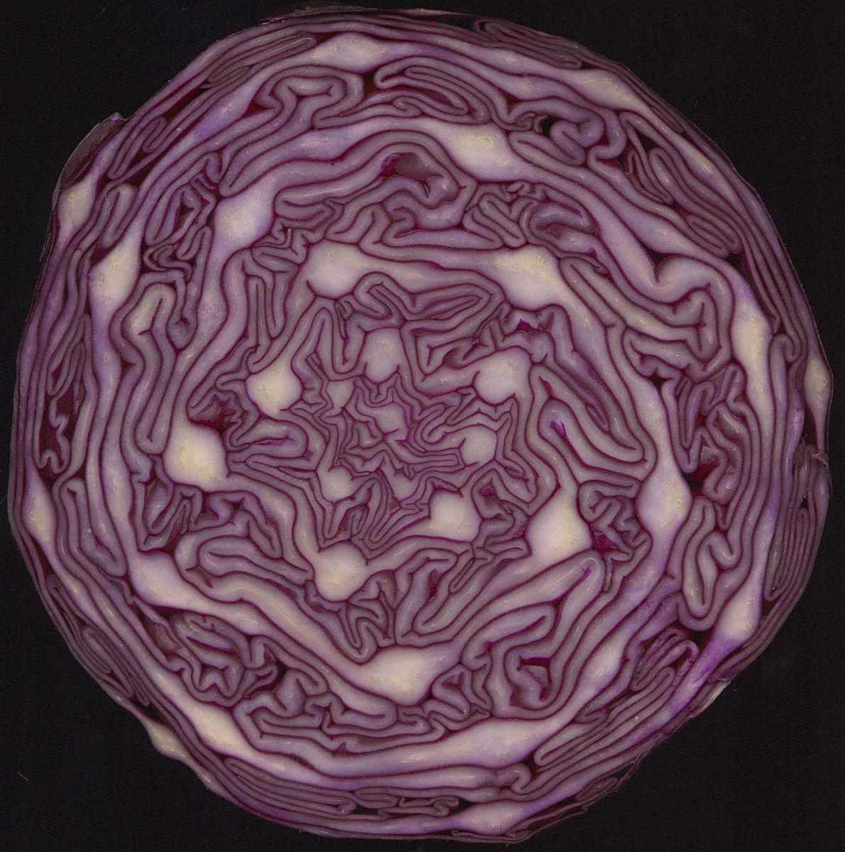 Krok 7