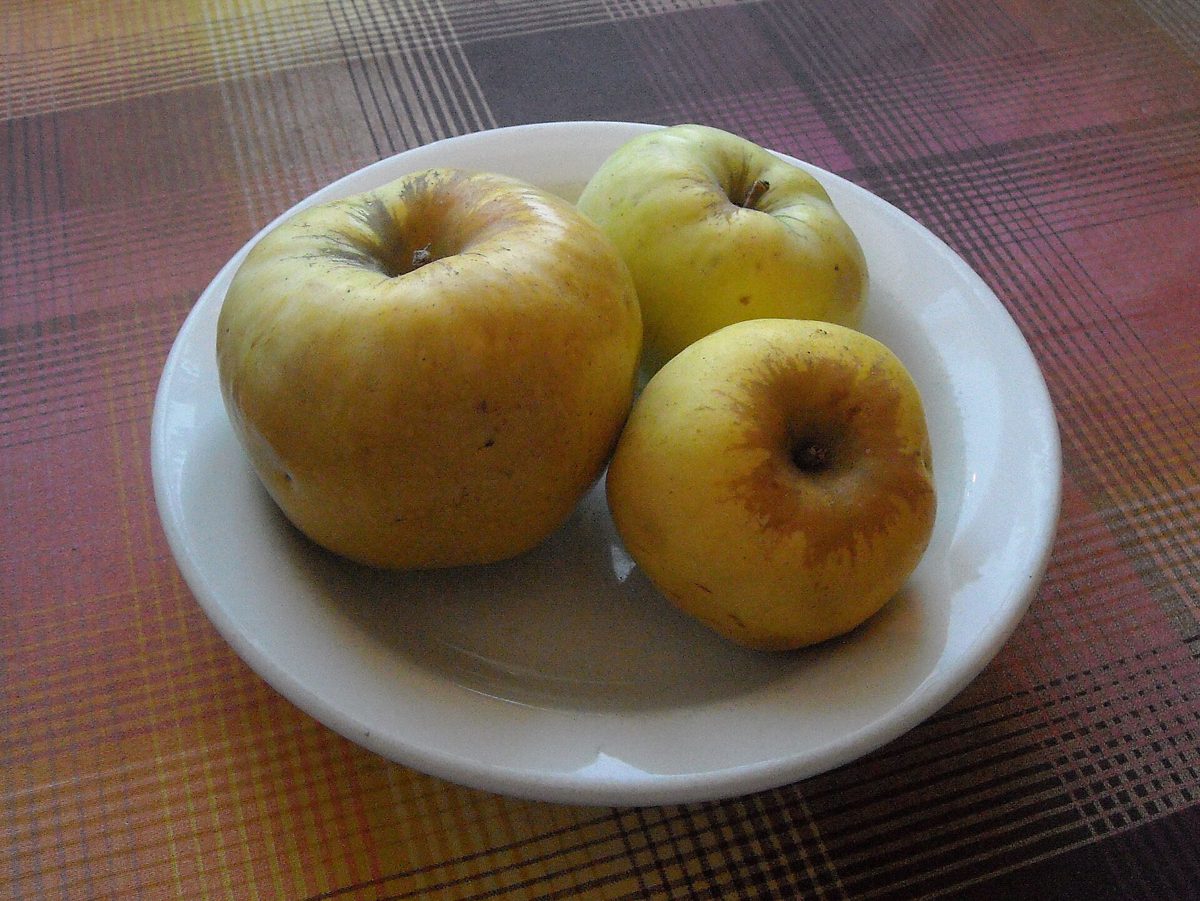 Krok 3