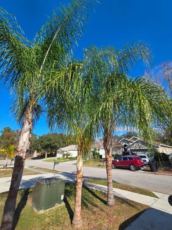 Kompleksowa pomoc w przeniesieniu na Florydę i zakupie nieruchomości